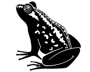 Frog sitting, toad - vector silhouette picture for logo or pictogram. Toad, amphibious animal - sign or icon	