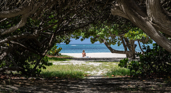 senior woman sits alone on a tropical beach, enjoying a peaceful moment during her solo retirement trip. The shaded trees frame the view of the ocean and the freedom of independent senior vacations