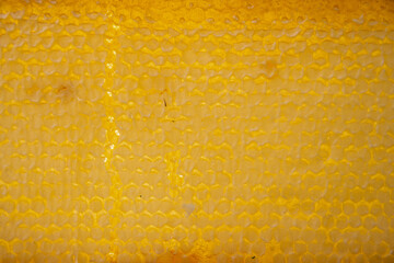 texture of amber honeycombs with organic honey of bright yellow amber color, hexagonal cells in...