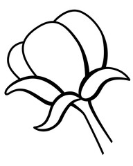 Cotton with opened boll, cotton fluff - vector illustration for coloring book, logo or pictogram. Outline. Cotton fiber, natural material of plant origin	