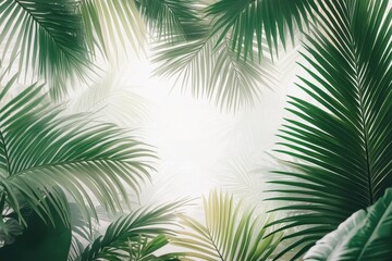 Lush Green Palm Leaves Creating a Tropical Canopy Over a Soft Background