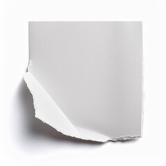 Fototapeta premium paper with space for text