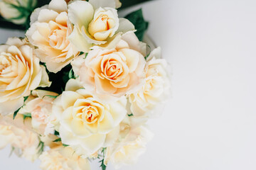 Delicate Cream Roses in a Bright and Minimalistic Indoor Setting