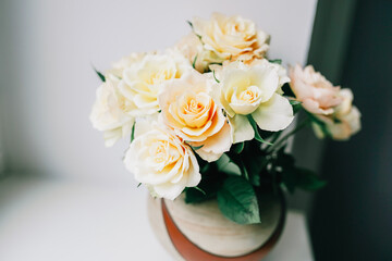 Delicate Cream Roses in a Bright and Minimalistic Indoor Setting