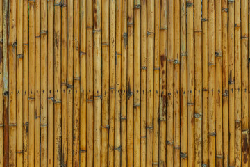 Panorama of Brown old Bamboo fence texture and background seamless