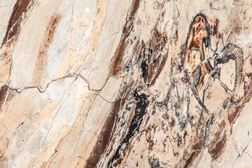 Patagonia Natural marble for slab tile design and ceramic tile factory .Natural marble texture pink and brown polished marble with high quality of details for materials ABR and 3d render.