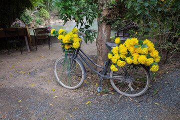 installation old bicycle decorated with yellow flowers in the park