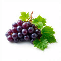 Fototapeta premium bunch of grapes