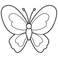butterfly on a white background