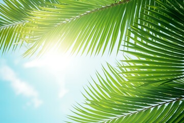 Obraz premium Sun shining through lush green palm leaves, creating a vibrant tropical scene against a clear blue sky