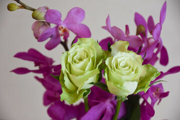 薔薇とアランダ