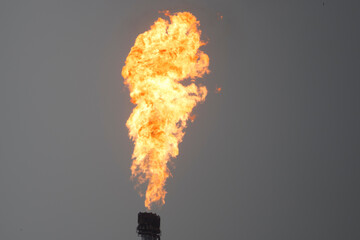Flare stack burning in the chemical industry at a processing facility during daylight hours