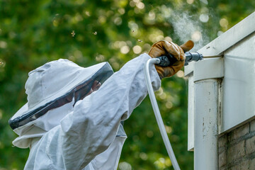 Expert removal of wasp nest using specialized equipment in a residential setting
