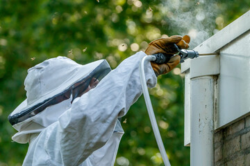 Expert pest control technician removes wasps from residential eaves using specialized equipment for safe extraction during mid-morning hours