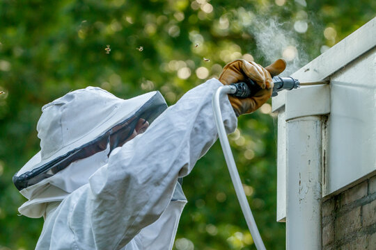 Expert removal of wasp nest using specialized equipment in a residential setting