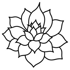 Blooming Wellness Lines