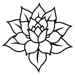 Blooming Wellness Lines