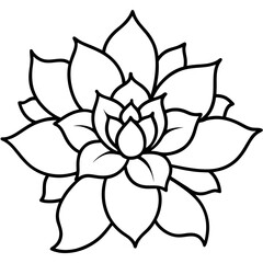 Blooming Wellness Lines