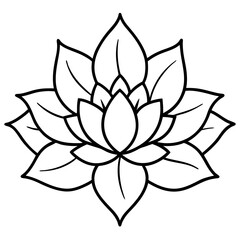 Blooming Wellness Lines