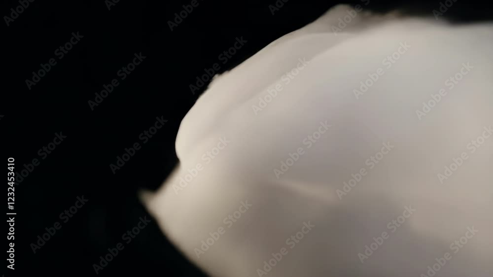 Poster organic smoke cloud billowing and expanding dynamically against dark backdrop, generating mysterious