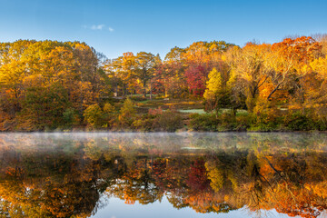 Autumn Morning with Rising Mist
