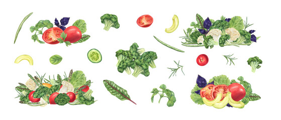 Watercolor boiled peeled shrimps with fresh vegetables, herbs clip art illustration isolated background. Healthy seafood, avocado, lemon slice, asparagus dish. Care food for culinary projects, menu