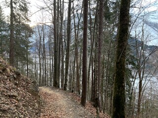 Fototapeta premium Alpine forest trails in a typical winter environment and over the tourist resort of Engelberg in Swiss Alps - Canton of Obwalden, Switzerland (Kanton Obwald, Schweiz)