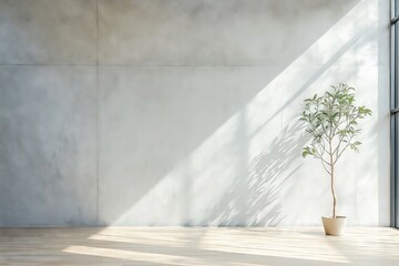 Serene Green Potted Plant on a Wooden Floor in Bright Minimalist Room near Window Sun Light