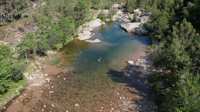 Plan drone survolant une rivi&egrave;re bord&eacute;e de for&ecirc;t avec une femme qui nage  

