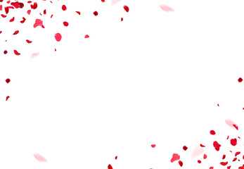 Red rose petals falling in the air on white romantic vector card. Heart wedding celebration design. Love backdrop. Stylish fashion banner. Saint Valentines Day template. All elements are isolated