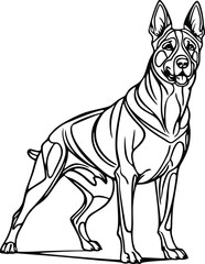 Belgian Malinois dog mascot logo design concept vector illustration white background