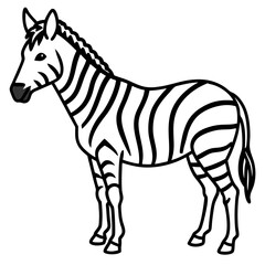 Elegant Zebra Line Art Vector