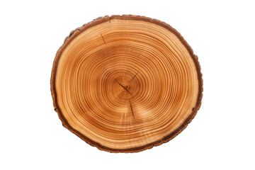 An elegant vintage wood slab slice, capturing the essence of nature with distinct tree rings and a smooth, polished surface, set against a stark white background