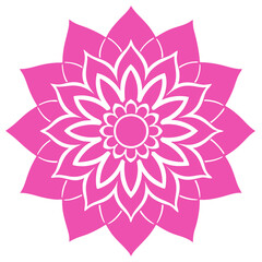 Fototapeta premium lotus flower illustration