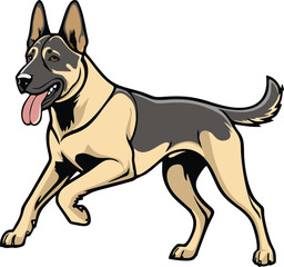 Belgian Malinois dog mascot logo design concept vector illustration white background