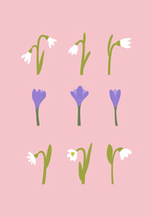 Spring poster with crocus and snowdrop flowers. Vector flat floral illustration 