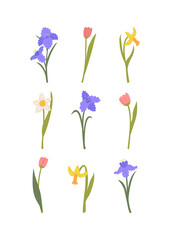 Spring poster with various flowers. Daffodil, iris and tulip flowers. Vector floral flat colorful illustration