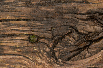 Surface texture of the knots and cracks of an old railroad sleeper. Detail of an old wooden garden step.