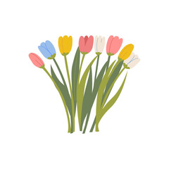 Spring bouquet of colorful tulip flowers. Elegant botanical vector flat illustration. Floral clipart for spring holidays, 8 march women's day, birthday, mother's day designs