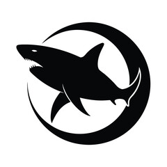 vector illustration of a shark