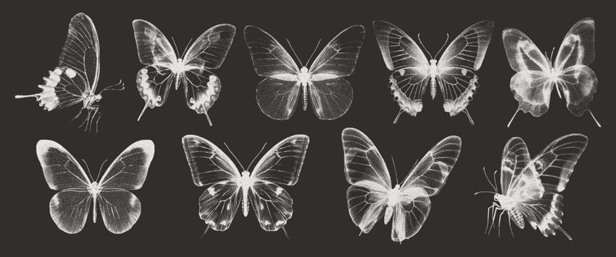 Butterfly elements to create a photocopy effect for a grunge style design. The X-ray effect of grain and dotted lines. Vector illustration.