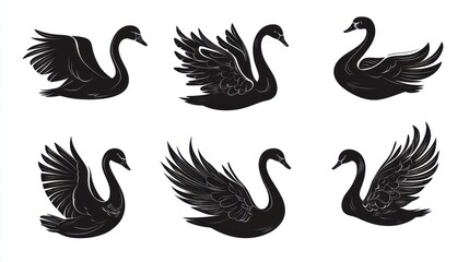 Six black swan silhouettes, various poses, white background, design element (2)