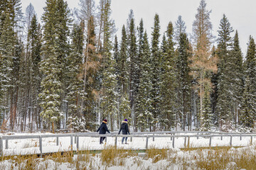 Beautiful Winter Day at Waskesiu River Trail in Prince Albert National Park, Canada.