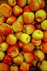Many Gala apples for sale