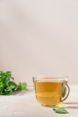 Fresh hot tea from green mint leaves in glass mug on beige background. Herbal healthy drink in cup