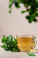 Fresh hot tea from green mint leaves in glass mug on beige background. Herbal healthy drink in cup