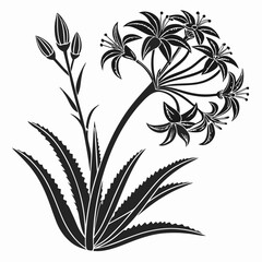 Bai sanicle vector silhouette black design white background