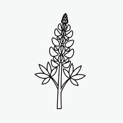 bluebonnet flower design vector modern illustration