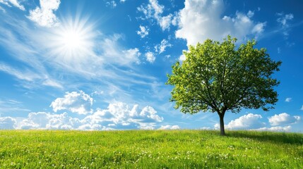 Obraz premium Lush Green Tree on Vibrant Grassland Under a Bright Blue Sky