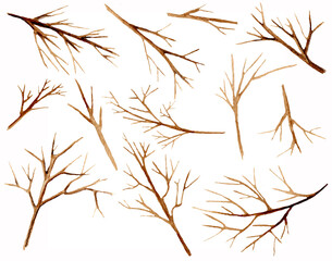 Collection of bare brown tree branches isolated on white background. Watercolor set.